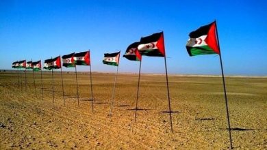 Photo of مجموعة جنيف لدعم الصحراء الغربية تجدد إلتزامها بمواصلة المرافعة عن القضية الصحراوية