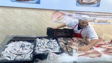 Photo of الشروع في تسويق سمك السردين ب500 دج للكلغ عبر عدة ولايات