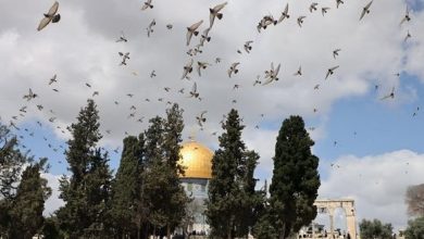 Photo of الخارجية الفلسطينية: منع الإحتلال للفلسطينيين من الصلاة في الأقصى جريمة ضد الإنسانية