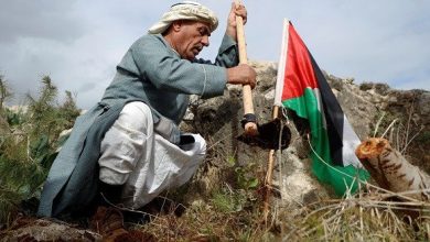 Photo of يوم الأرض: الفلسطينيون صامدون أمام المشاريع الاستيطانية رغم القتل والإبادة الجماعية