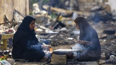 Photo of العدوان الصهيوني: ثلث أطفال شمال غزة دون عامين يعانون من سوء تغذية حاد