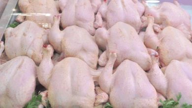 Photo of “أوناب”: تسويق كميات معتبرة من الدجاج المستورد عبر 131 نقطة