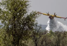 Photo of شركة طاسيلي تُسخر 12 طائرة تحسبا لحملة مكافحة الحرائق لسنة 2024