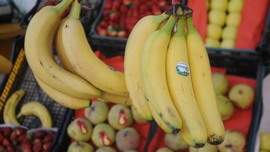 Photo of وزير التجارة: سحب رخص الإستغلال للمضاربين في أسعار الموز