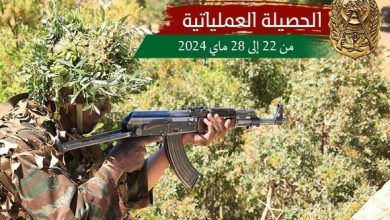 Photo of القضاء على إرهابيين وأخر يسلم نفسه وتوقيف 6 عناصر دعم للجماعات الإرهابية خلال أسبوع