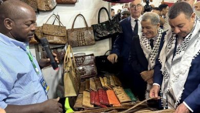 Photo of قطاع الصناعة التقليدية ساهم بـ 360 مليار دج في الناتج الوطني الخام سنة 2023