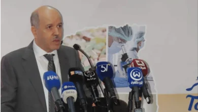 Photo of وزير الصحة: صياغة تصور جديد بخصوص التكفل بالأمراض النادرة