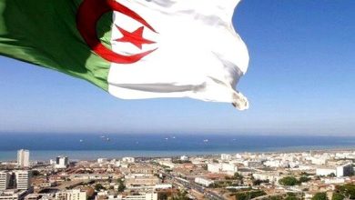 Photo of المشهد الإعلامي الوطني يواكب مسار بناء الجزائر الجديدة