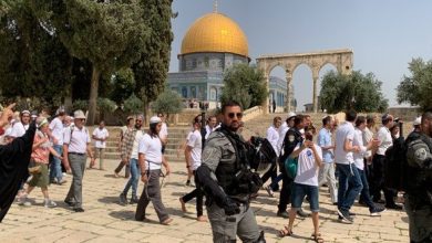 Photo of فلسطين: عشرات المستوطنين الصهاينة يقتحمون المسجد الأقصى المبارك