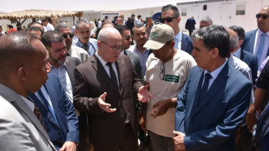 Photo of شرفة: المخزون الإستراتيجي من المواد الغذائية الأساسية يكفي لأزيد من سنة   