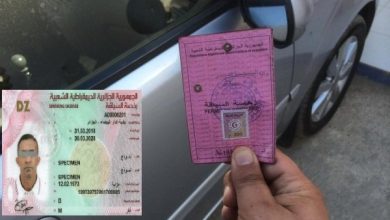 Photo of تعميم إصدار رخص السياقة البيومترية عبر كامل بلديات الوطن