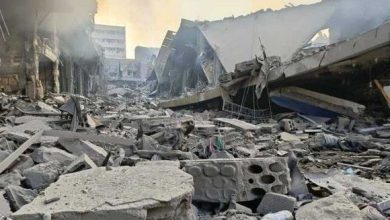 Photo of ارتفاع حصيلة شهداء العدوان الصهيوني على لبنان إلى 3768 شهيدا و15699مصابا