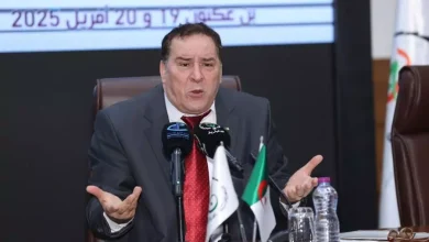 Photo of وزير الاتصال يؤكد أهمية تعزيز الكفاءات الوطنية في مجال الإعلام