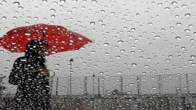 Photo of إضطراب جوي مرتقب..   أمطار غزيرة وبرودة بعدد من الولايات!