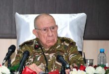 Photo of الفريق أول شنقريحة: الجزائر ستظل رقما فعالا في الأمن والسلام بالساحل