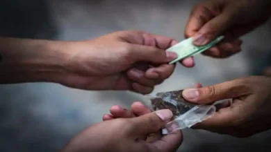 Photo of مكافحة المخدرات..   عقوبات تصل إلى الإعدام