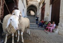 Photo of  بمناسبة عيد الأضحى..   أيام الجمعة والسبت والأحد المقبلة عطلة مدفوعة الأجر   